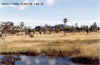 paisagem_campo_maior_serra.jpg (43537 bytes)