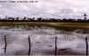 paisagem_campo_maior.jpg (39813 bytes)