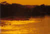 rio.jpg (35719 bytes)